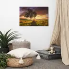 Product preview image