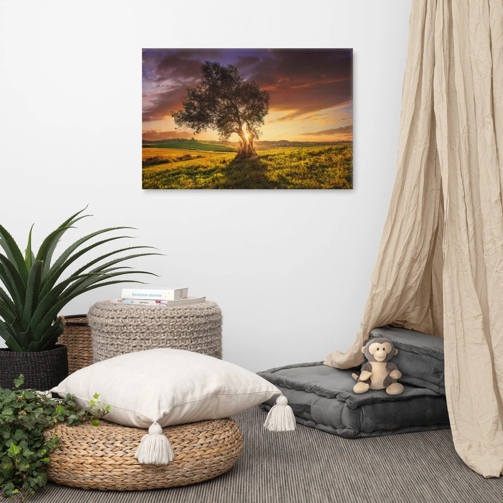 PIPA Fine Art Rustic Olive Tree Sunset Canvas Wall Art for Home Decor