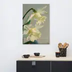 Product preview image