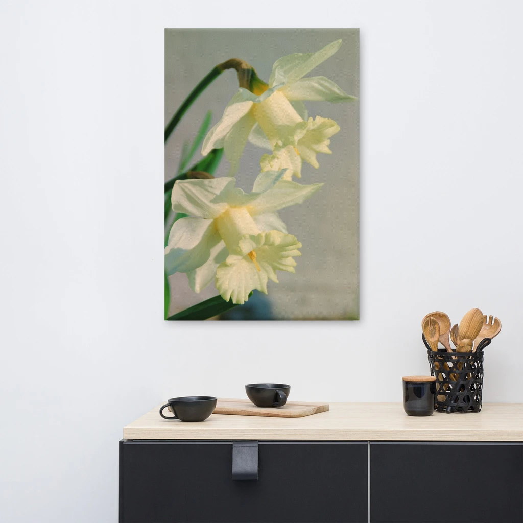 PIPA Fine Art Colorized Daffodils Floral Canvas Wall Art for Home Decor