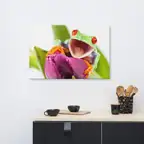 Product preview image