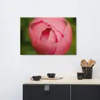 Product preview image