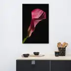 Product preview image