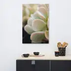 Product preview image