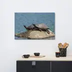 Product preview image