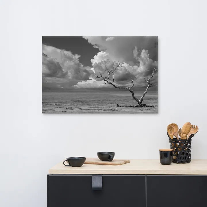 PIPA Fine Art Wanderlust High Contrast Black and White Coastal Landscape Canvas