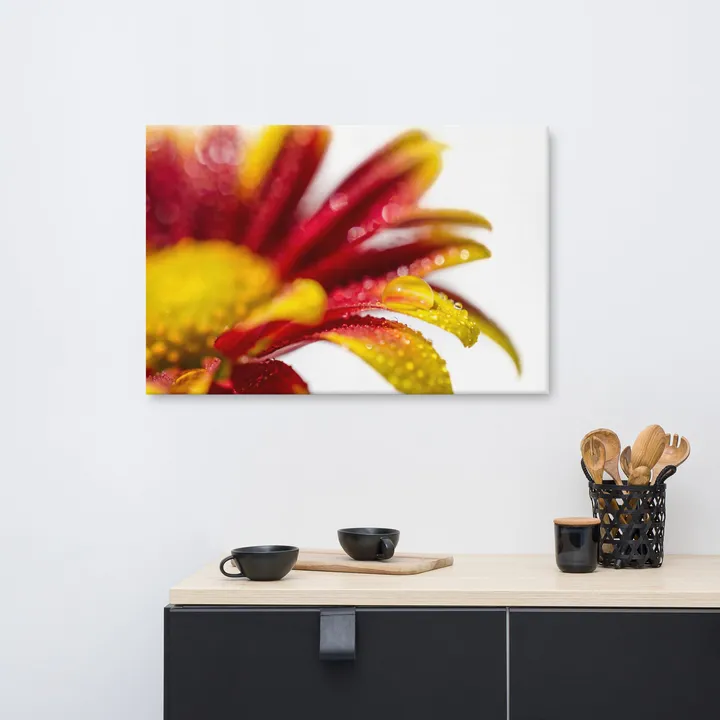 PIPA Fine Art Water Droplets on Mum Petals Canvas Wall Art
