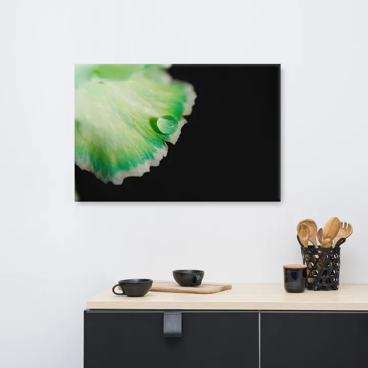 PIPA Fine Art Water Droplet on Carnation Petal Canvas Wall Art