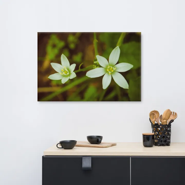 PIPA Fine Art Wild Beauty Floral Botanical Canvas Wall Art