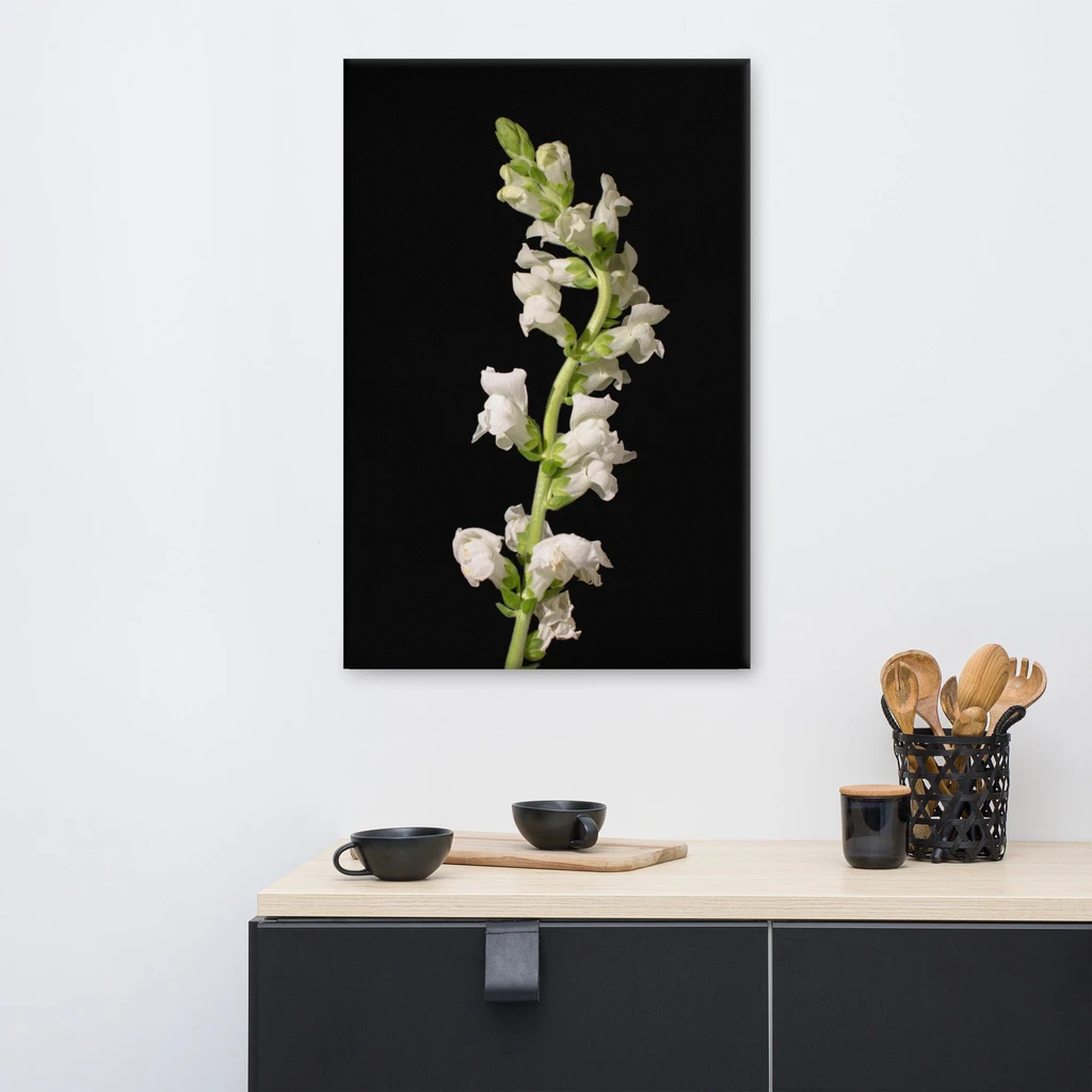 PIPA Fine Art Elegant White Snapdragons Canvas Wall Art for Home Decor