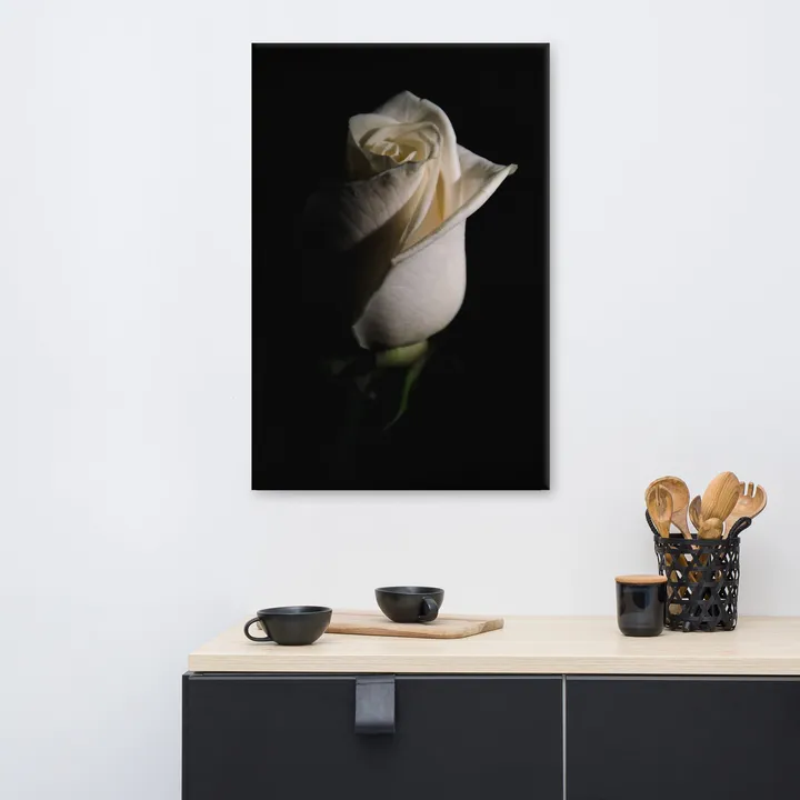 PIPA Fine Art Elegant White Rose Canvas Wall Art for Timeless Decor