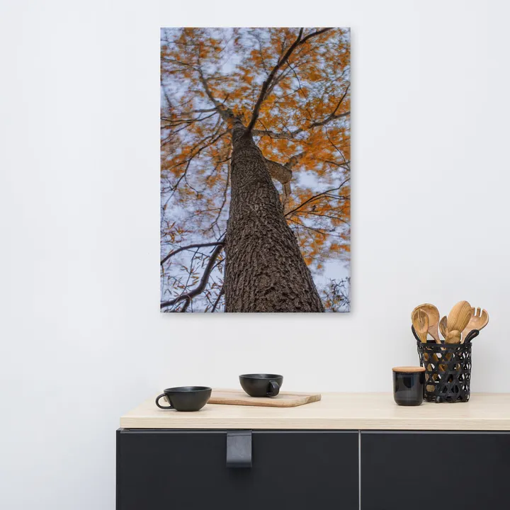 PIPA Fine Art Wind in the Trees Botanical Nature Canvas Wall Art