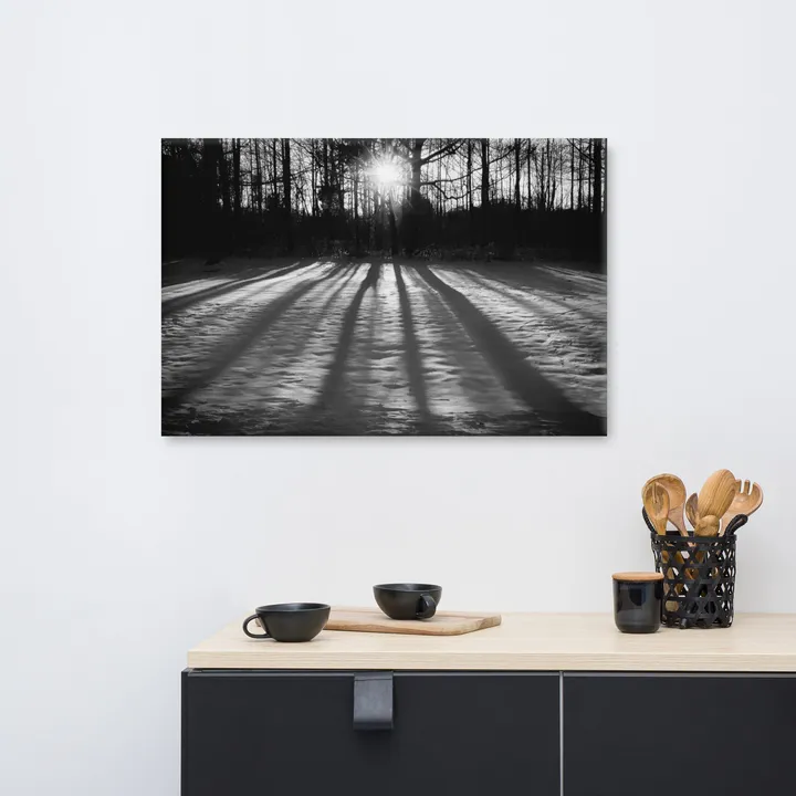 PIPA Fine Art Winter Shadows Black and White Landscape Canvas Art