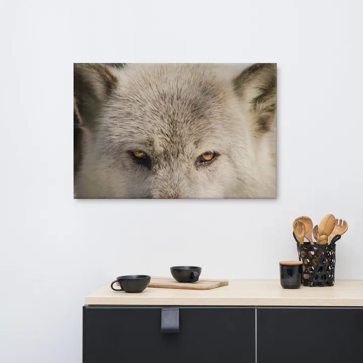 PIPA Fine Art Wolf Eyes Canvas Wall Art - Captivating Wildlife Decor