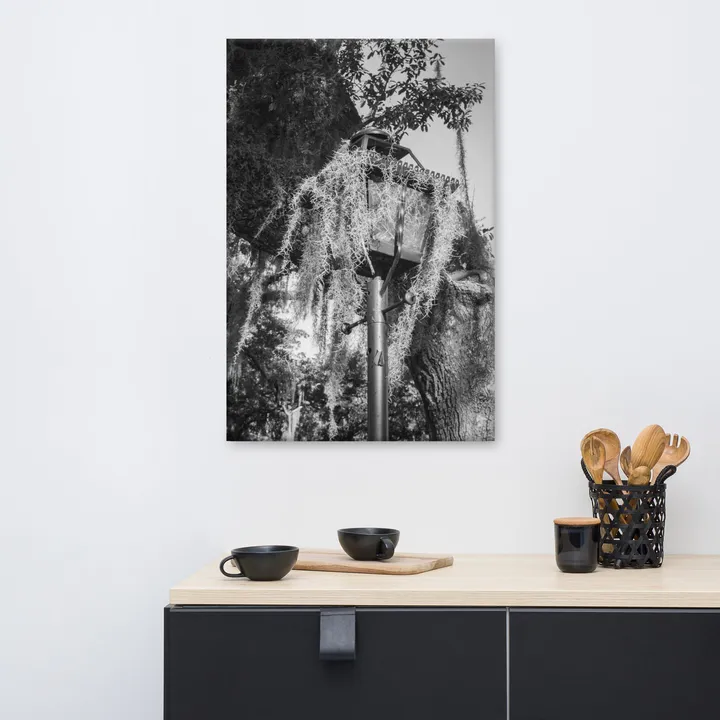 PIPA Fine Art Wrought Iron Lamp Post & Spanish Moss Canvas Wall Art