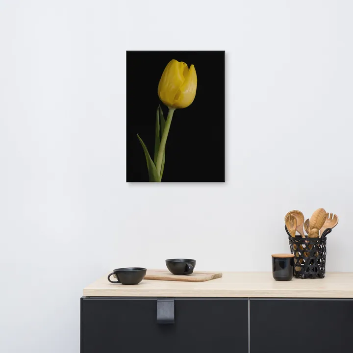 PIPA Fine Art Elegant Yellow Tulip Canvas Wall Art for Home Decor