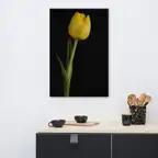 Product preview image