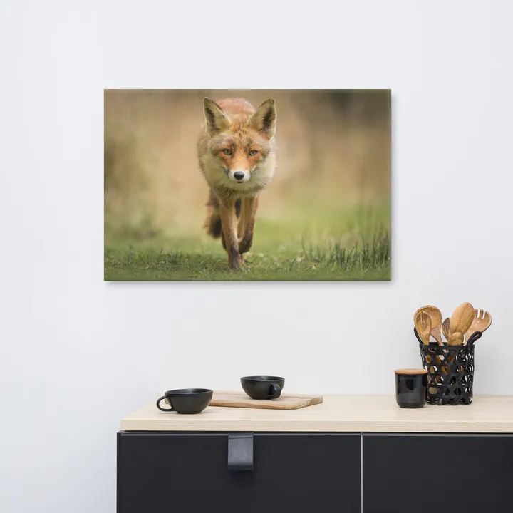 PIPA Fine Art Young Female Red Fox Canvas Wall Art for Rustic Home Decor