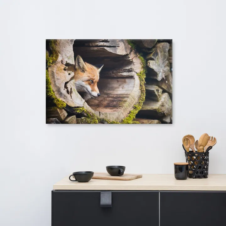 PIPA Fine Art Young Red Fox in Mossy Stump Canvas Wall Art