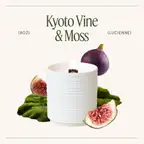Product preview image
