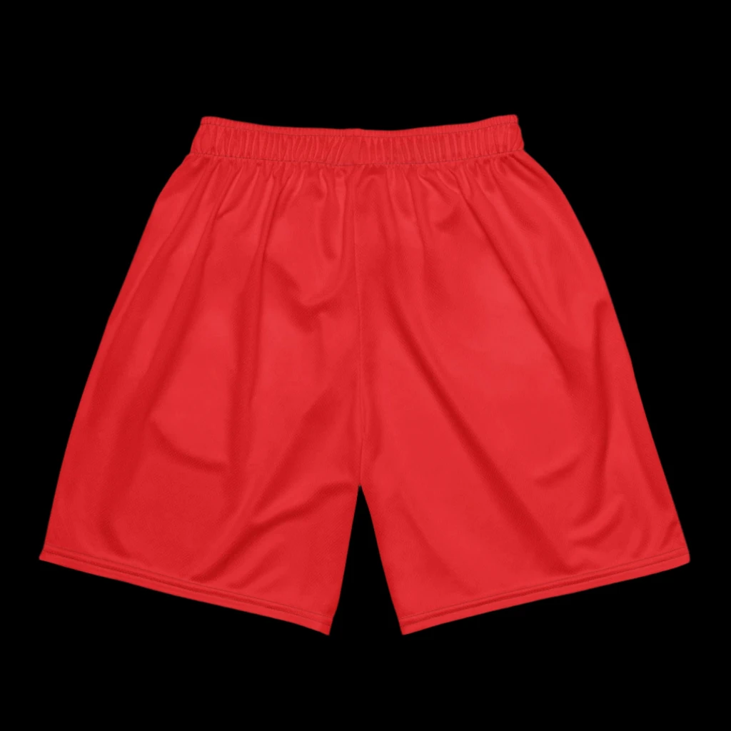 Cozyshyt Mesh Shorts