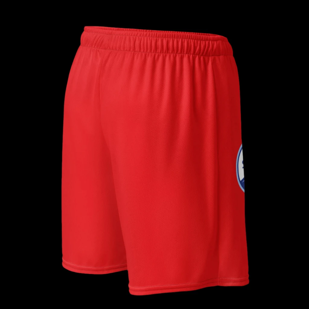 Cozyshyt Mesh Shorts