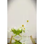 Product preview image