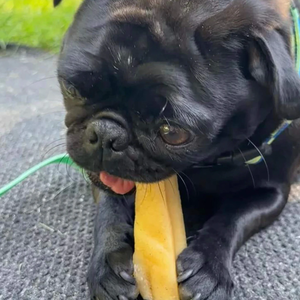 Pupford Dog Chew Small