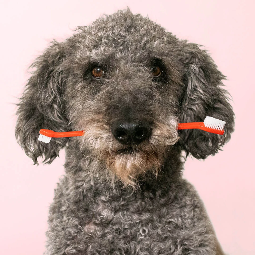 Pupford Double Sided Dog Toothbrush