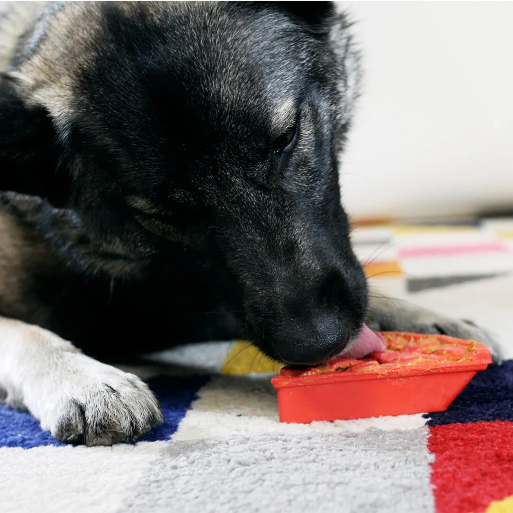 Pupford Sodapup Enrichment Chew Toy Pack