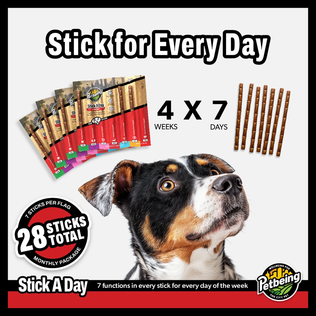 PETBEING Stick A Day For Dogs