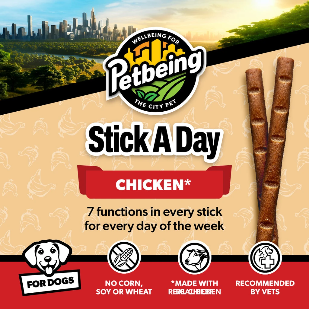 PETBEING Stick A Day For Dogs