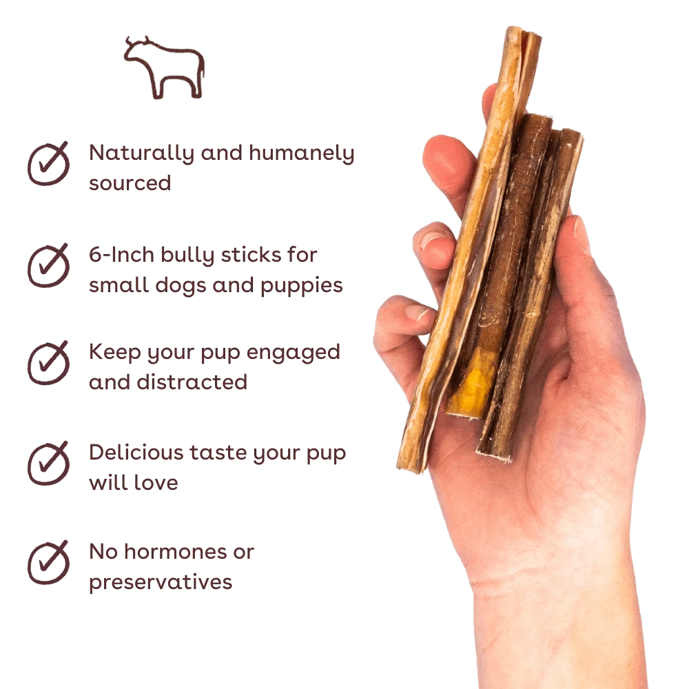 Pupford Skinny Smoky Bully Stick