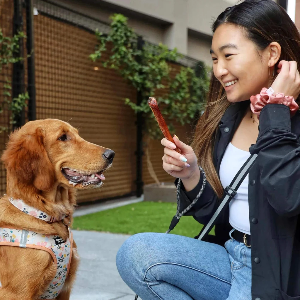 Pupford Skinny Smoky Bully Stick