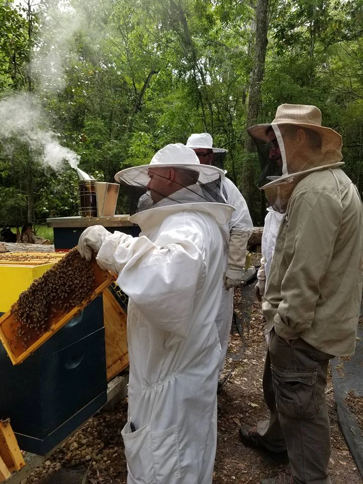 Honey Badgers Bee Farm Badger Dust Pink Sea Salt
