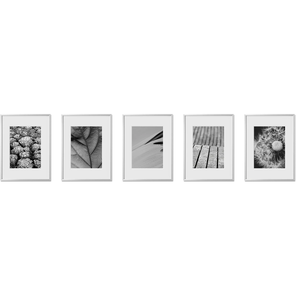 Haus and Hues Set Of 5 Gallery Frames - With Matting