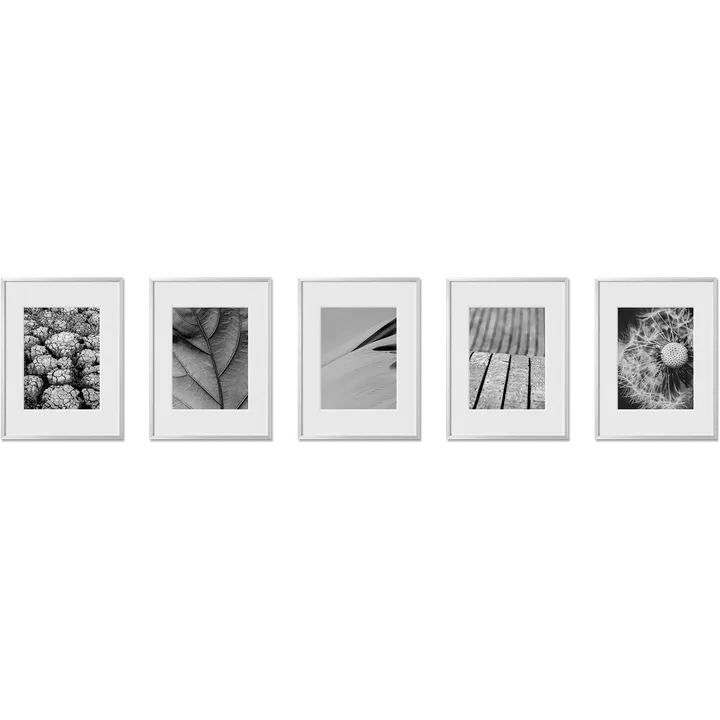Haus and Hues Set Of 5 Gallery Frames - No Matting