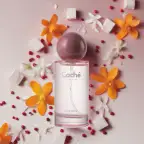 Product preview image