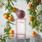 Product preview image