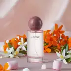 Product preview image
