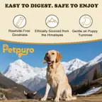 Product preview image