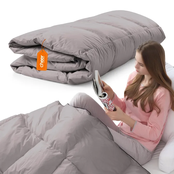 Cheer Collection All Season Down Alternative Comforter