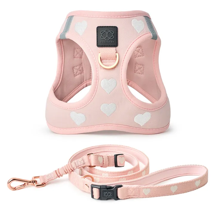 DOGISTRY Leash Set