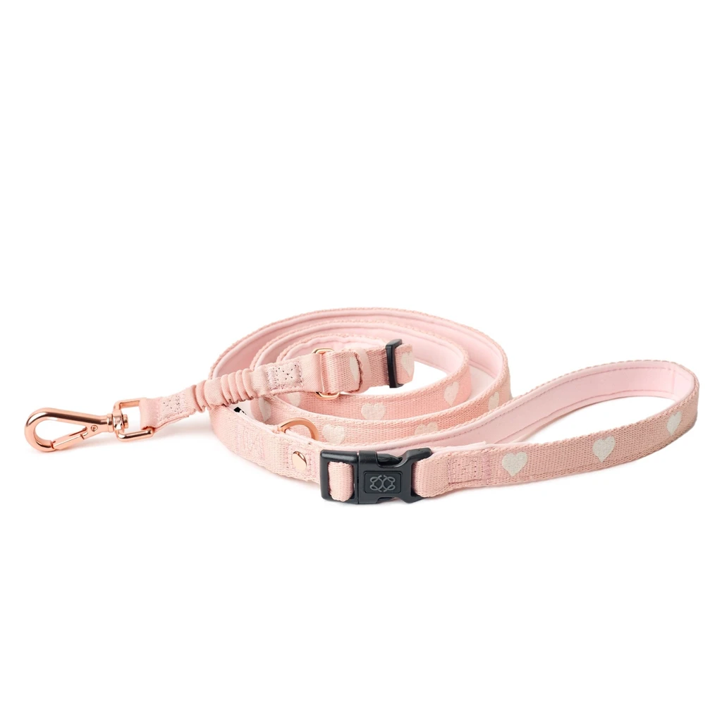 DOGISTRY Leash Set