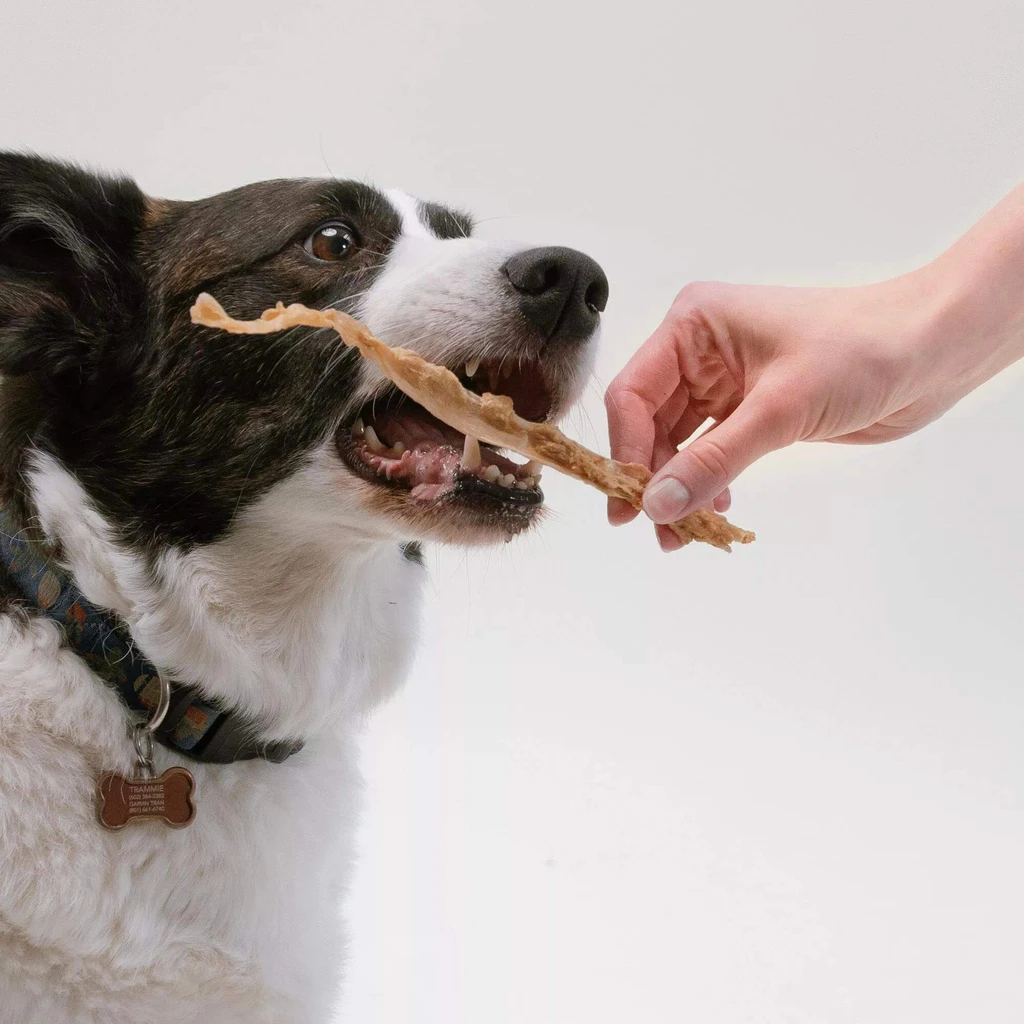 Pupford Turkey Tendon Dog Chews