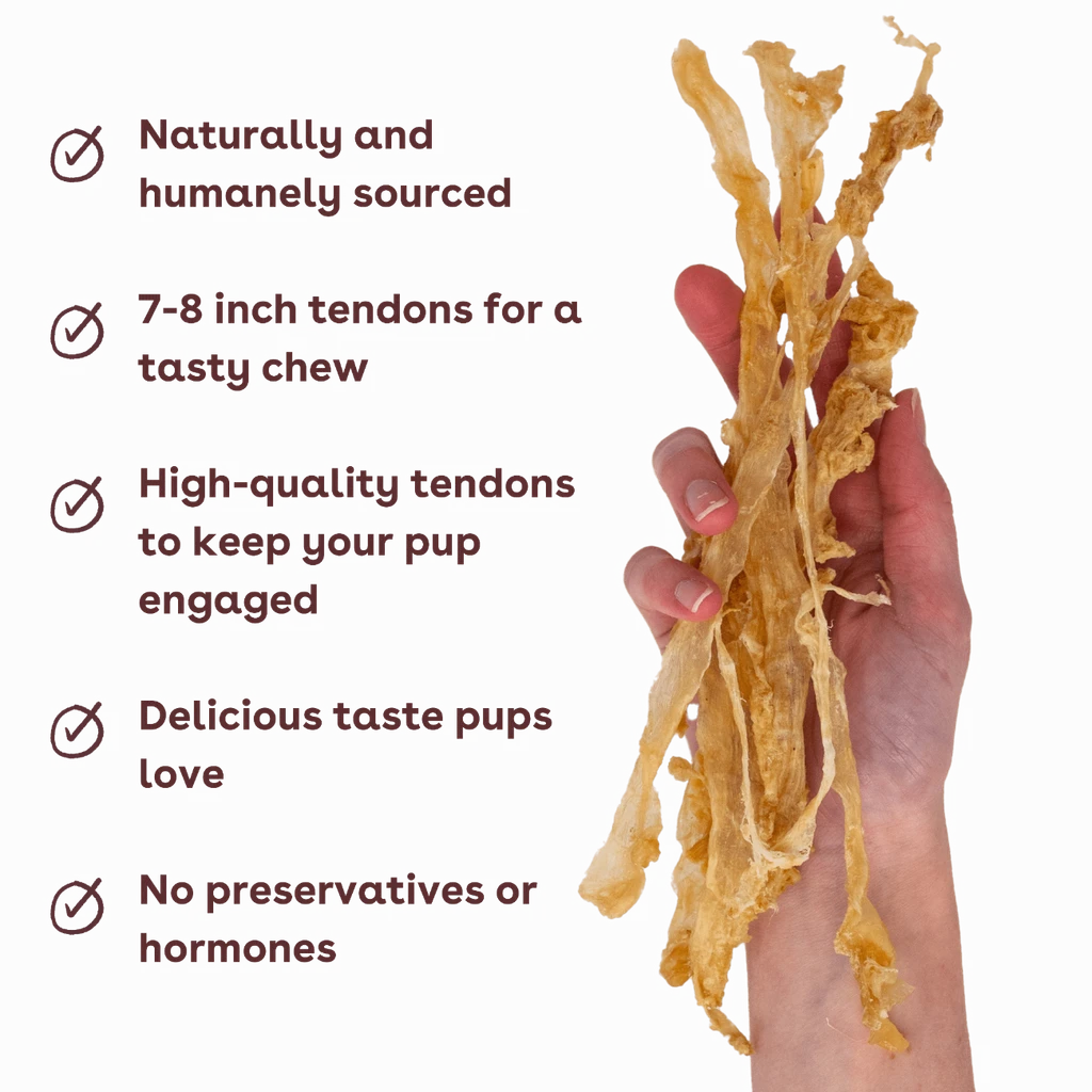 Pupford Turkey Tendon Dog Chews