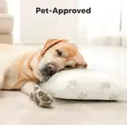 Product preview image