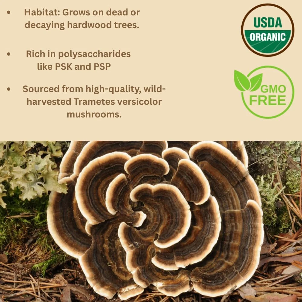 Buy The Crave Organic Non-GMO Freeze Dried Turkey Tail Mushroom Powder