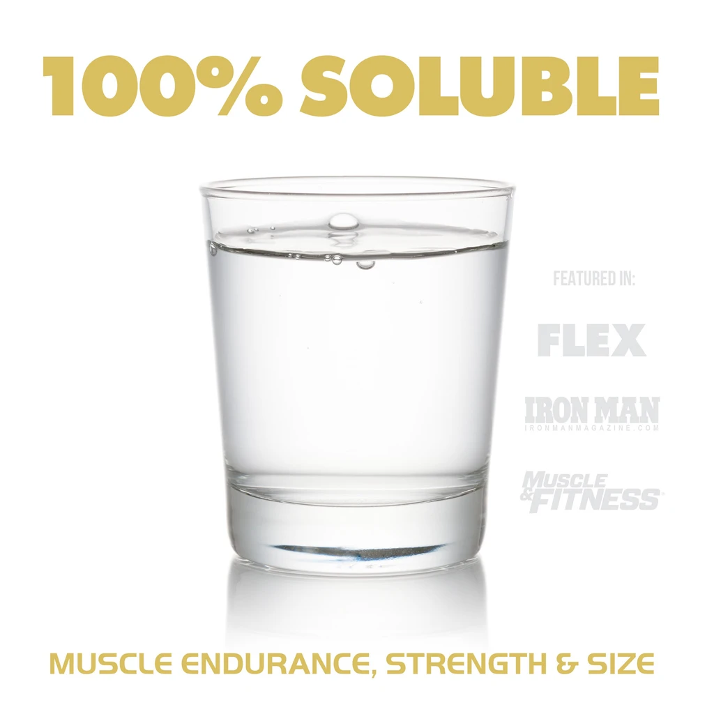 Gains In Bulk Instantized Creatine
