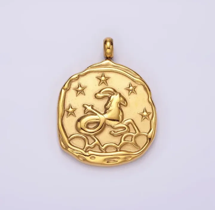 ROCKNOT Zodiac Carabiner Necklace - Capricorn